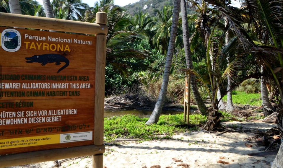 Cómo ir al Parque Tayrona desde Santa Marta (Guía completa)