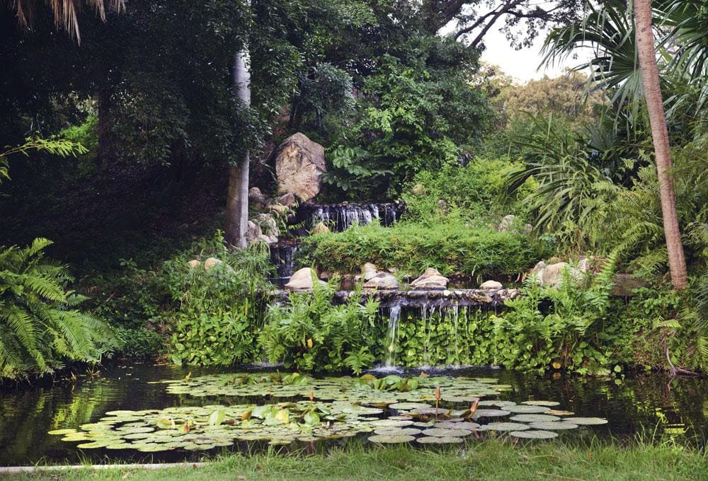 Quinta de San Pedro Alejandrino: Historia viva en Santa Marta